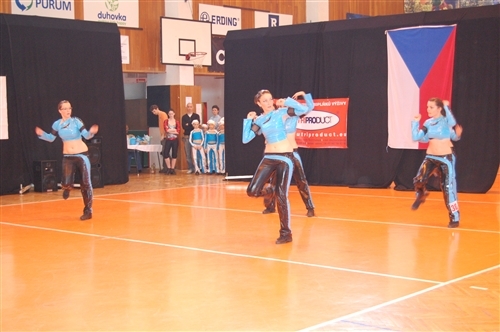 Obrázek v galerii
