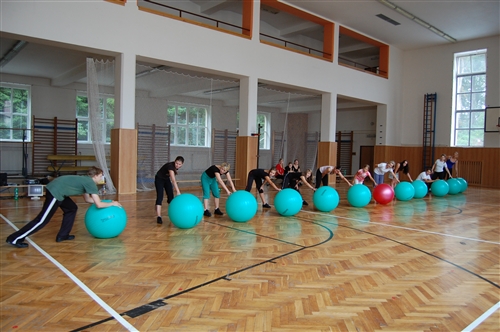 Obrázek v galerii