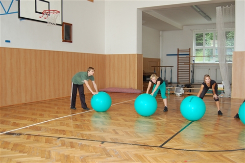 Obrázek v galerii
