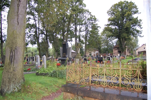 Obrázek v galerii