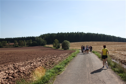 Obrázek v galerii