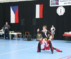 Obrázek v galerii