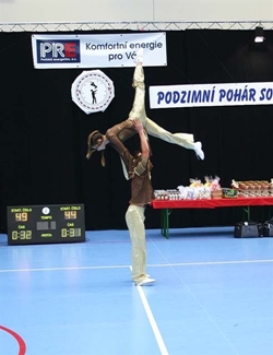 Obrázek v galerii