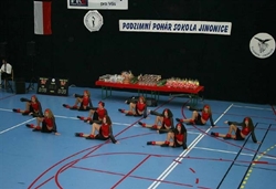 Obrázek v galerii