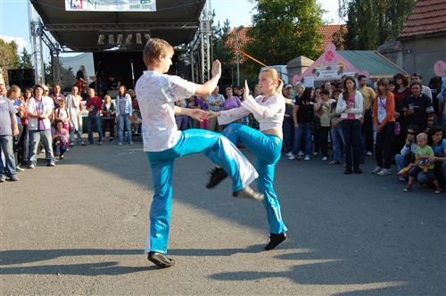 Obrázek v galerii