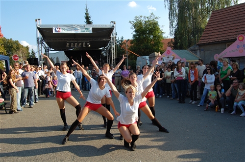 Obrázek v galerii