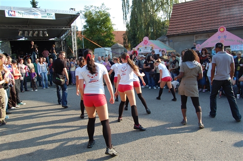 Obrázek v galerii