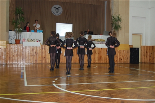 Obrázek v galerii