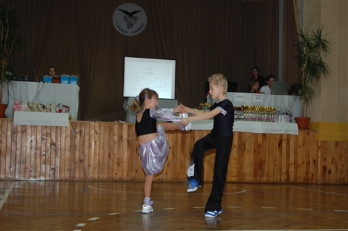 Obrázek v galerii