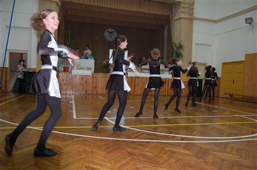 Obrázek v galerii