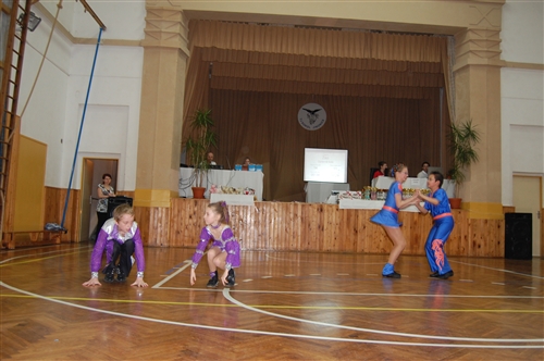 Obrázek v galerii