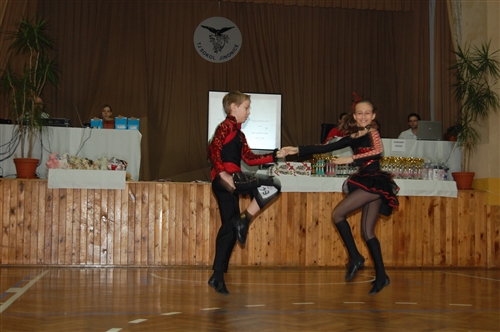 Obrázek v galerii