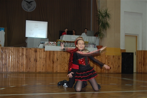 Obrázek v galerii
