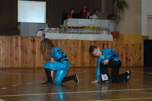 Obrázek v galerii