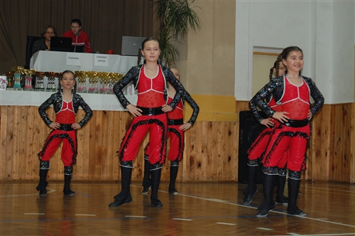 Obrázek v galerii