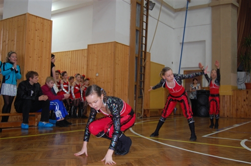 Obrázek v galerii