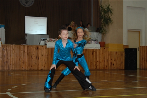 Obrázek v galerii