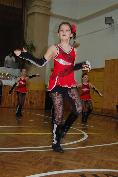 Obrázek v galerii