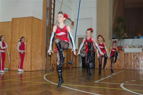 Obrázek v galerii