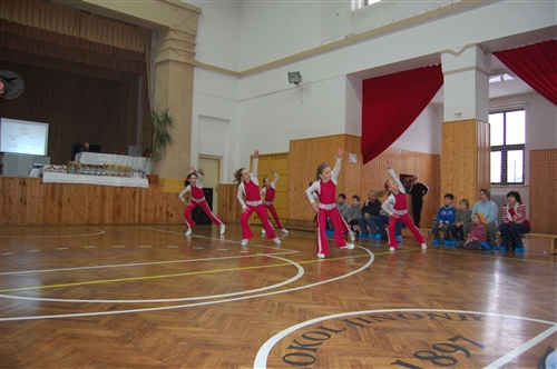 Obrázek v galerii