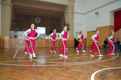 Obrázek v galerii