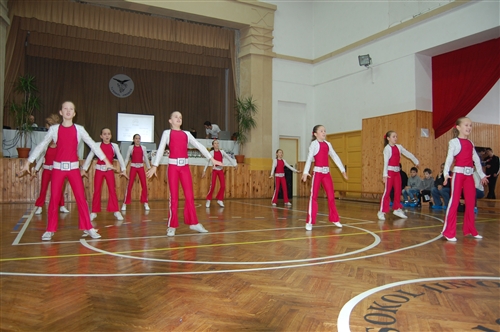 Obrázek v galerii