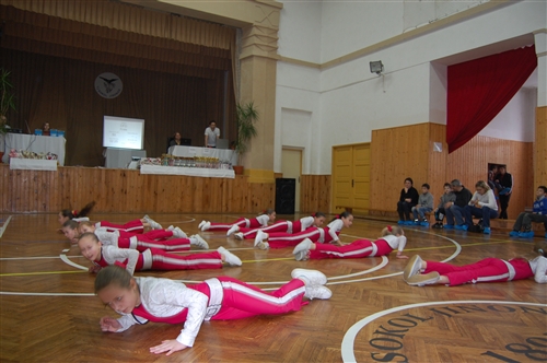 Obrázek v galerii