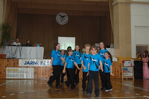 Obrázek v galerii
