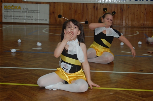 Obrázek v galerii