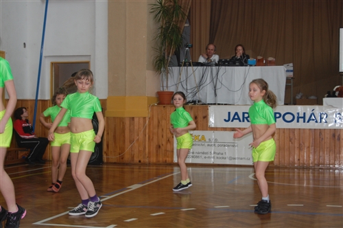 Obrázek v galerii