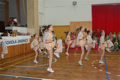 Obrázek v galerii