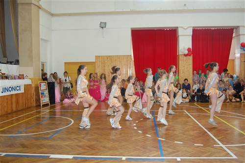 Obrázek v galerii