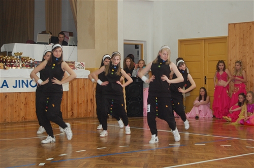 Obrázek v galerii
