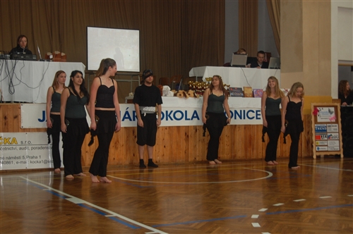 Obrázek v galerii