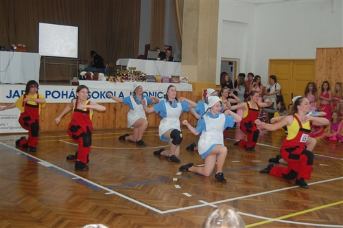 Obrázek v galerii