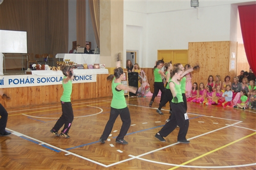 Obrázek v galerii