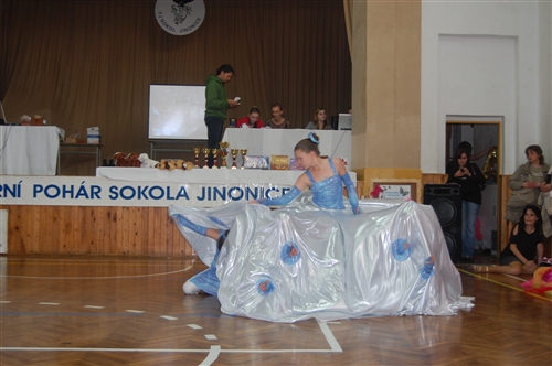Obrázek v galerii