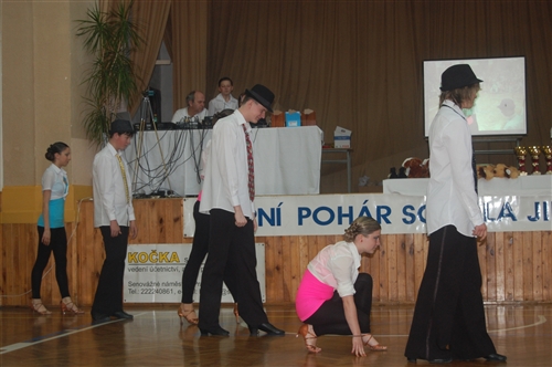 Obrázek v galerii