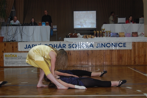 Obrázek v galerii