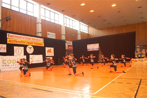 Obrázek v galerii