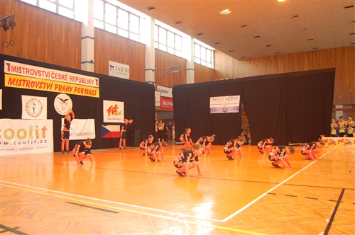 Obrázek v galerii