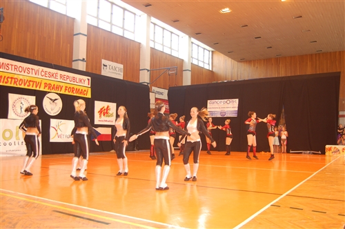 Obrázek v galerii
