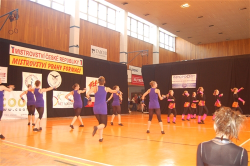 Obrázek v galerii