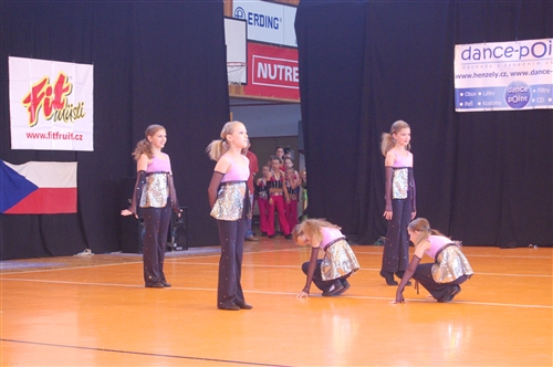 Obrázek v galerii