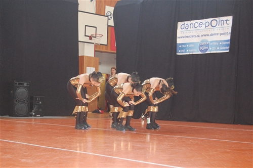 Obrázek v galerii