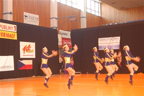 Obrázek v galerii