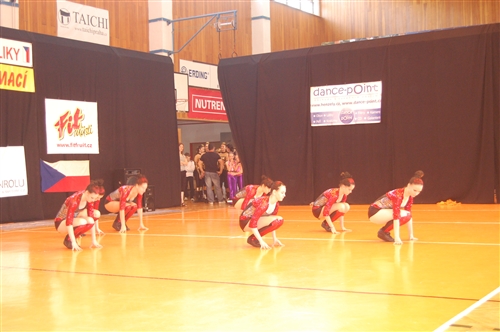 Obrázek v galerii
