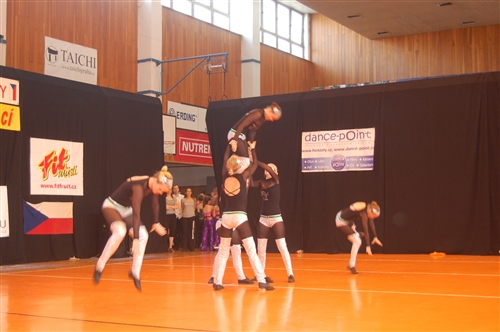 Obrázek v galerii