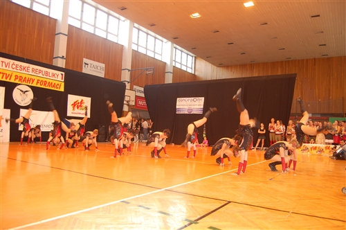 Obrázek v galerii