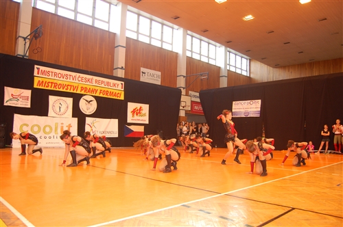 Obrázek v galerii